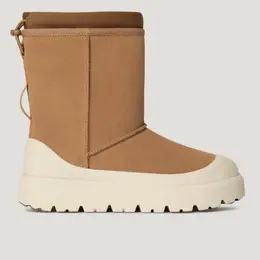 UGG: Бежевые ботинки  Classic Short