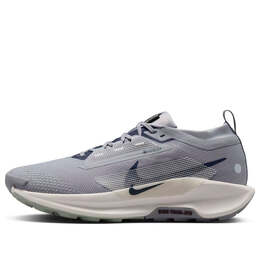 Nike: Серые кроссовки  Trail