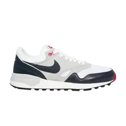 Nike: Тёмные кроссовки  Air