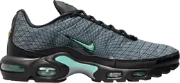Nike: Серые кроссовки  Air Max Plus