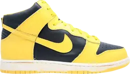Nike: Чёрные кроссовки  Dunk High