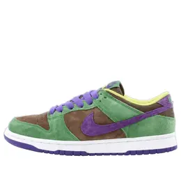 Nike: Многоцветные кроссовки  Dunk Low Pro