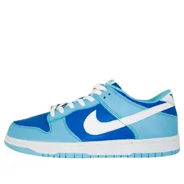 Nike: Многоцветные кроссовки  Dunk Low