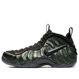 Nike: Многоцветные кроссовки  Air Foamposite Pro