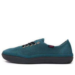 Vans: Синие кроссовки 