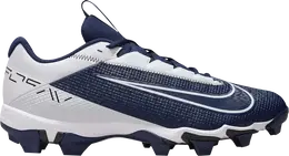 Nike: Синие кроссовки  Vapor