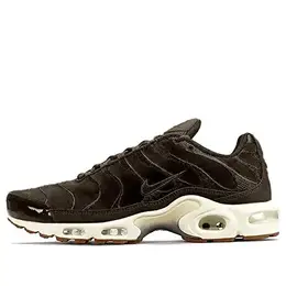 Nike: Коричневые кроссовки  Air Max Plus