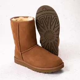 UGG: Ботинки  Classic Short II