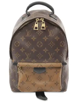 Louis Vuitton Pre-Owned: Коричневый рюкзак 