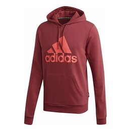 Adidas: Толстовка с капюшоном 