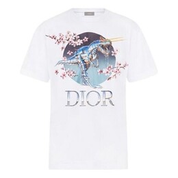 Dior: Белая футболка 