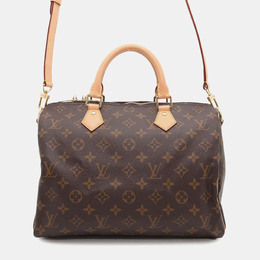 Louis Vuitton: Коричневая сумка  Speedy