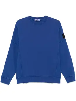 Stone Island: Голубой свитшот  Compass