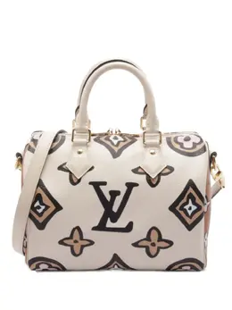 Louis Vuitton Pre-Owned: Коричневая сумка 