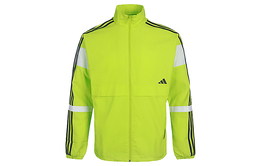 Adidas: Зелёная куртка 