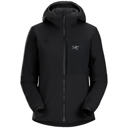 Arc'teryx: Толстовка с капюшоном 