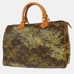 Louis Vuitton: Коричневая сумка  Speedy 30