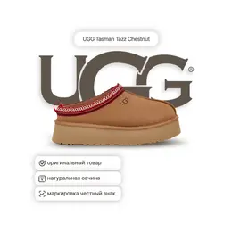 UGG: Коричневые угги  Tasman