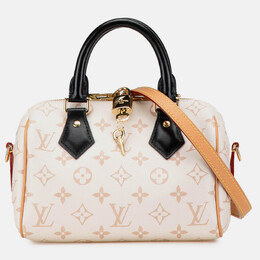 Louis Vuitton: Коричневая сумка  Speedy