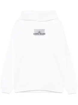 Stone Island: Толстовка с принтом 