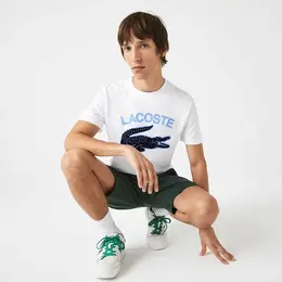 LACOSTE: Белая футболка 