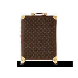 Louis Vuitton: Коричневая сумка 