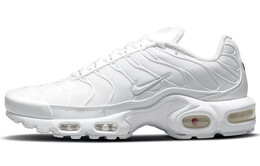 Nike: Кроссовки  Air Max Plus