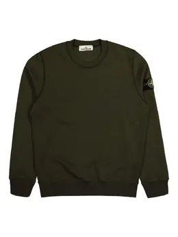 Stone Island: Зелёный свитшот  Compass
