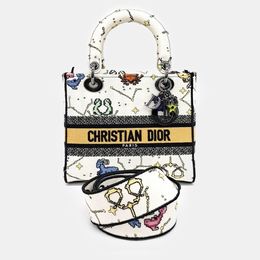 Dior: Многоцветная сумка 