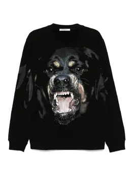 Givenchy: Свитшот с принтом 