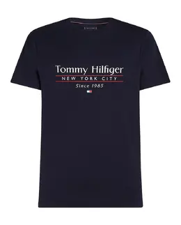 Tommy Hilfiger: Футболка с принтом 