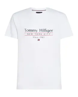Tommy Hilfiger: Футболка с принтом 