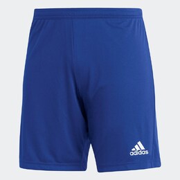 Adidas: Синие шорты 