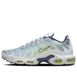 Nike: Серые кроссовки  Air Max Plus