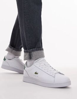 Lacoste: Белые кроссовки 