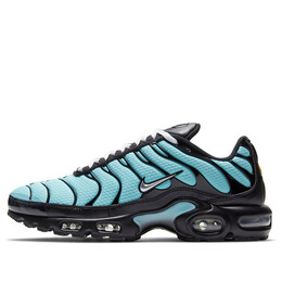 Nike: Чёрные кроссовки  Air Max Plus
