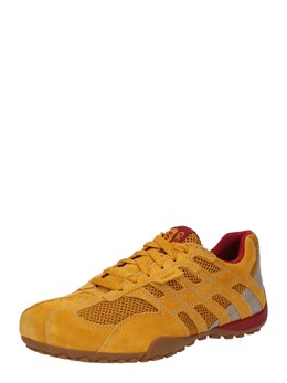 Geox: Кроссовки 