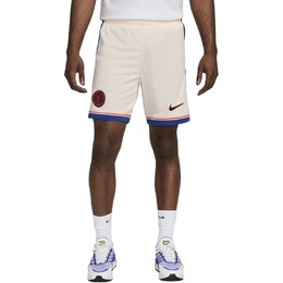 Nike: Шорты  FC
