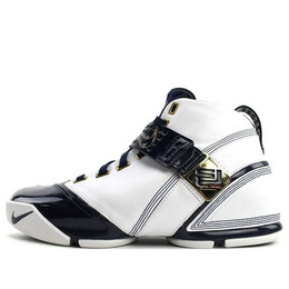 Nike: Белые кроссовки  Zoom Lebron 5