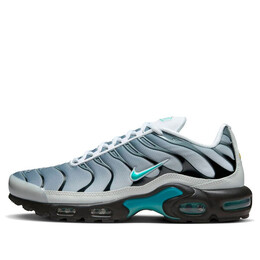 Nike: Серебристые кроссовки  Air Max Plus