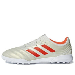 Adidas: Бежевые кроссовки  Copa