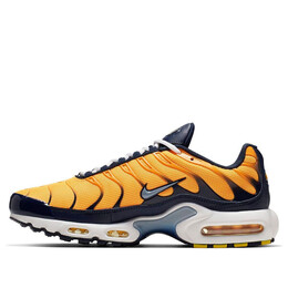 Nike: Оранжевые кроссовки  Air Max Plus