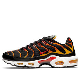 Nike: Чёрные кроссовки  Air Max Plus