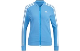 Adidas: Синяя куртка 