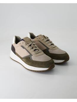 Geox: Бежевые кроссовки 
