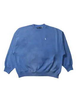 Polo Ralph Lauren: Голубой свитшот 