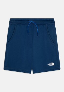 The North Face: Спортивные шорты 