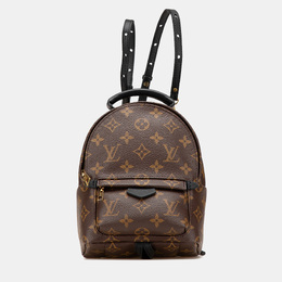Louis Vuitton: Коричневый рюкзак 