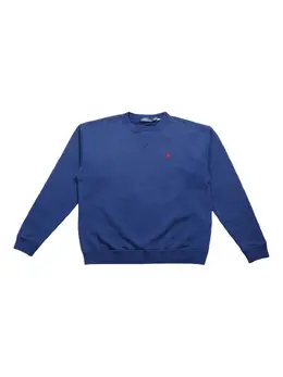 Polo Ralph Lauren: Голубой свитшот 