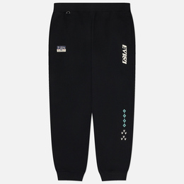 Evisu: Брюки с вышивкой 